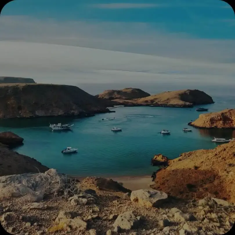 t(supplier.showoff.firstTitle)