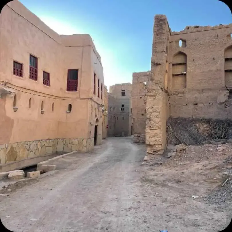 t(supplier.showoff.fifthTitle)